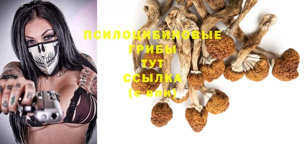 стафф Абдулино