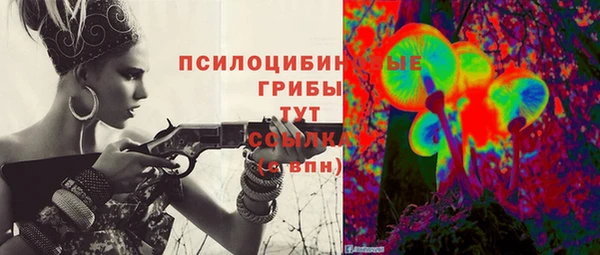 стафф Абдулино