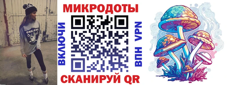 Псилоцибиновые грибы Psilocybine cubensis Лакинск